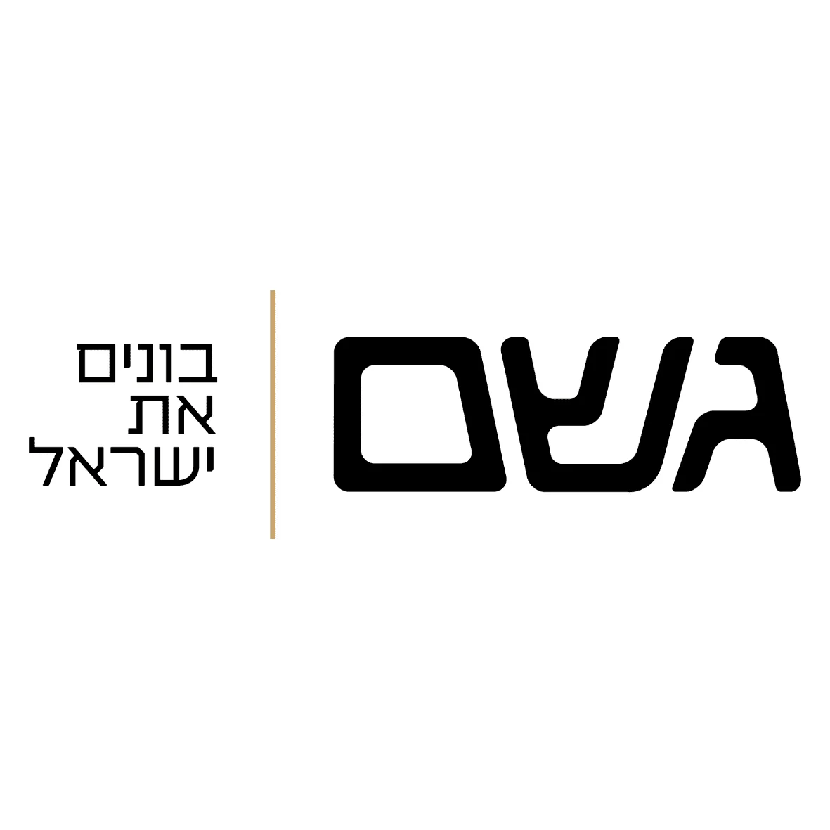 גשם החזקות