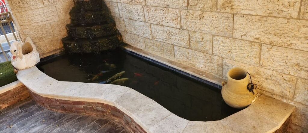 WhatsApp Image 2025-09-17 at 12.15.43 (1)