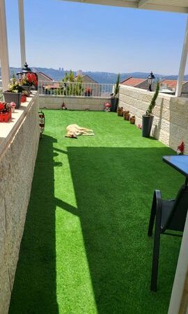 y2_10_03332_20250816225049