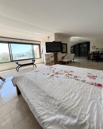 y2_10_04739_20250824150754