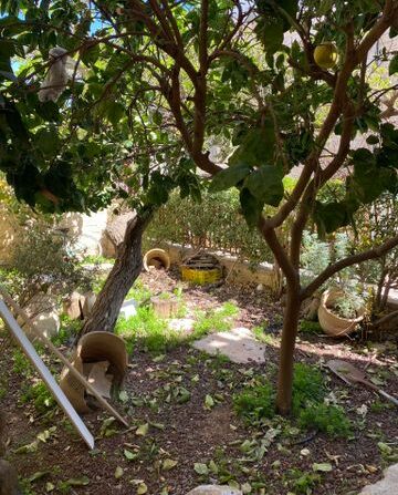 y2_1pa_010026_20250901164406