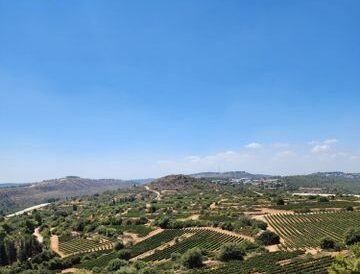 y2_1pa_010520_20250827122410