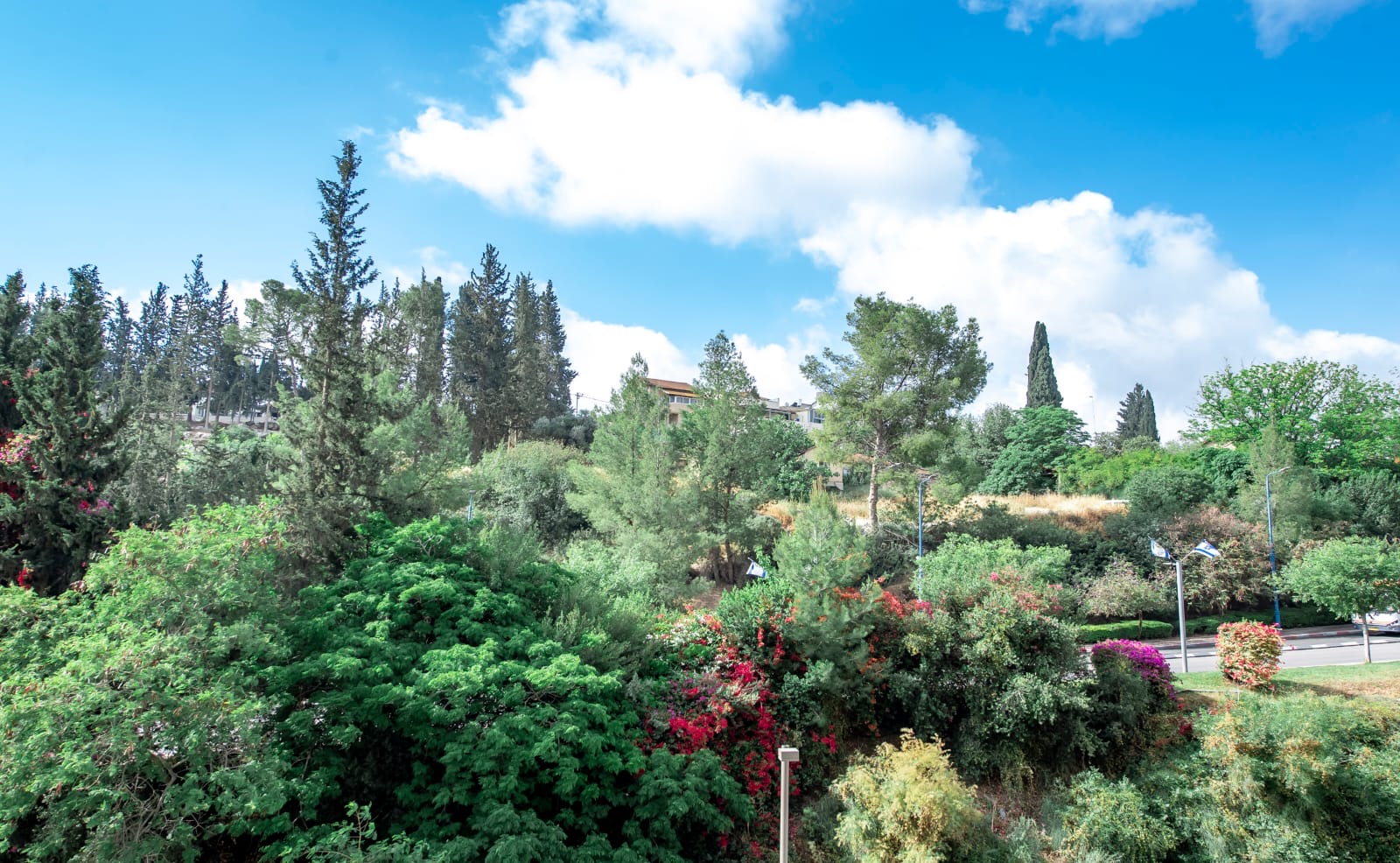 cbffa6f6-f189-48bd-8d2d-9c7db3f3f0fb