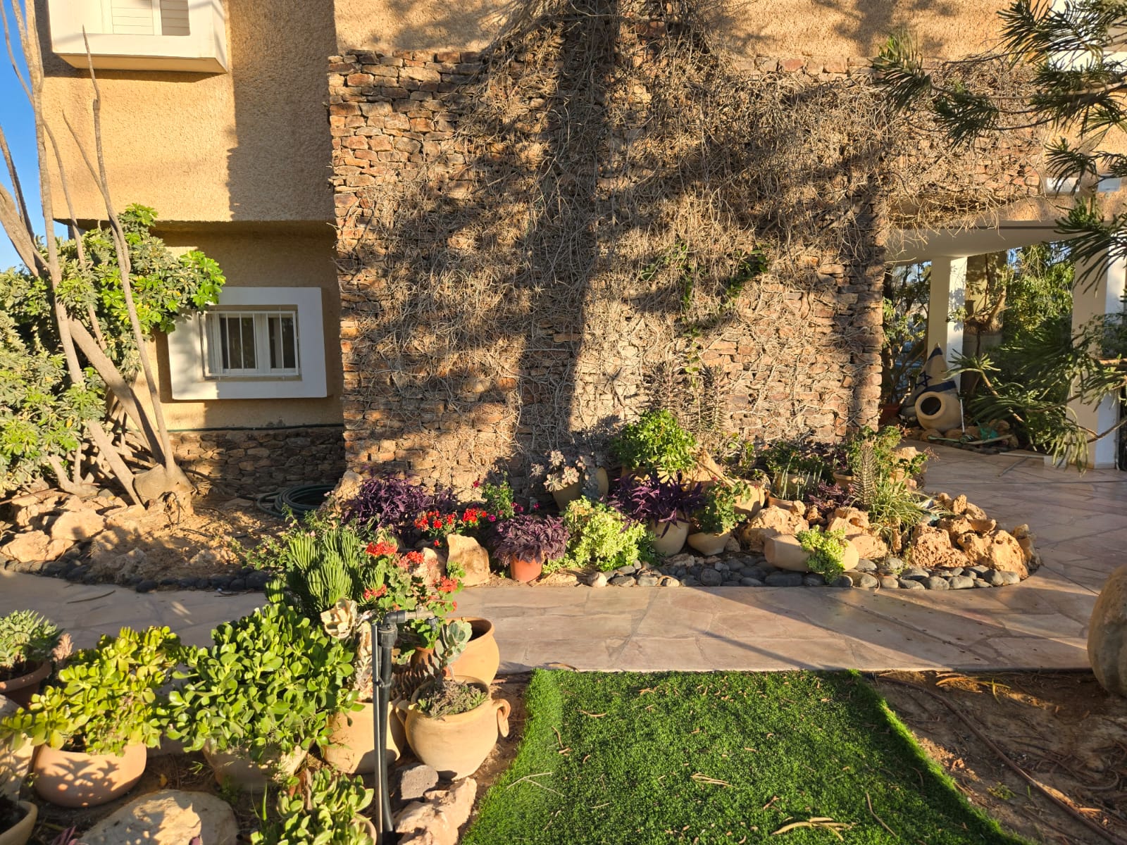 WhatsApp-Image-2025-06-03-at-10.38.23-1