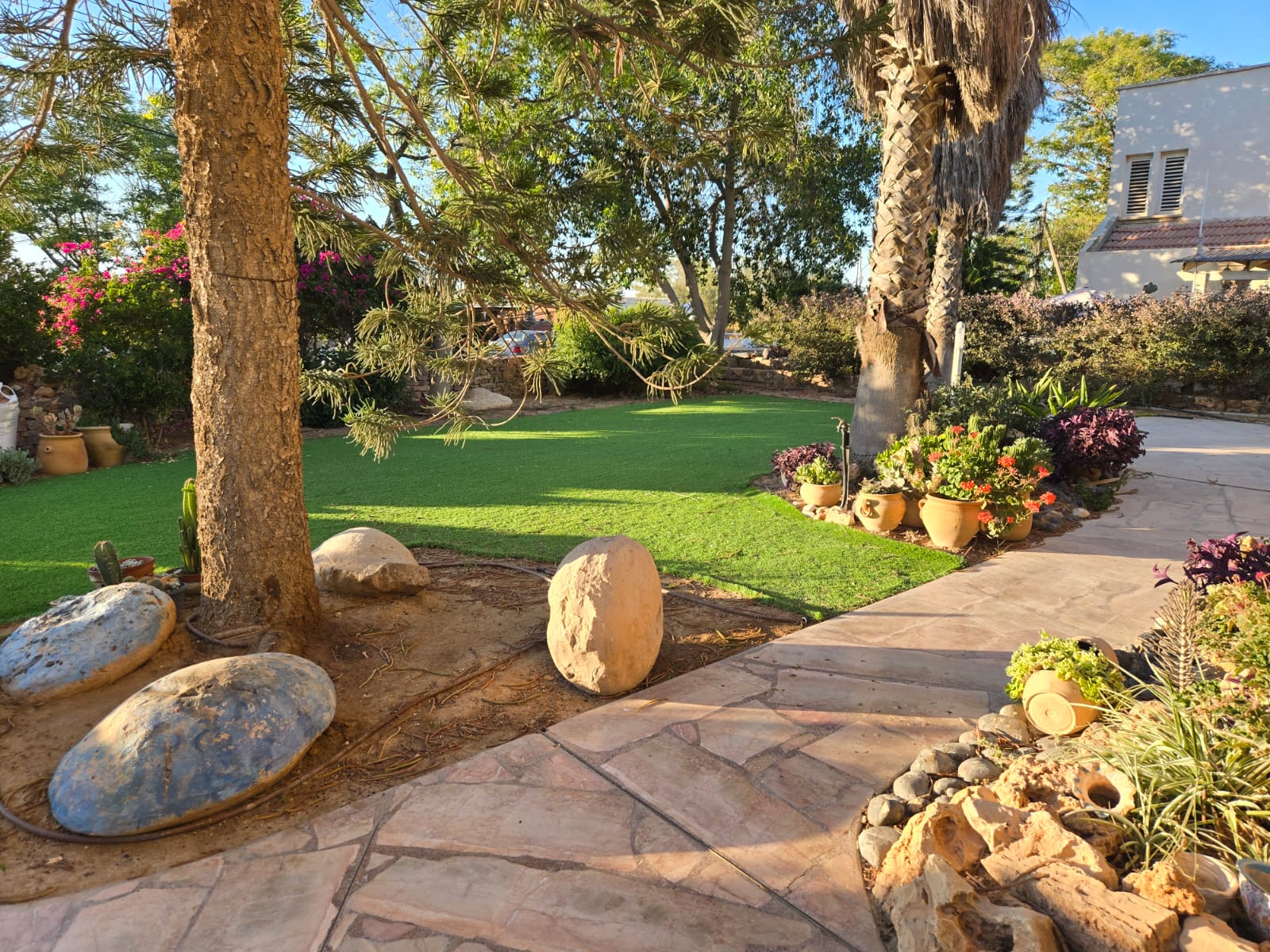 WhatsApp-Image-2025-06-03-at-10.38.23