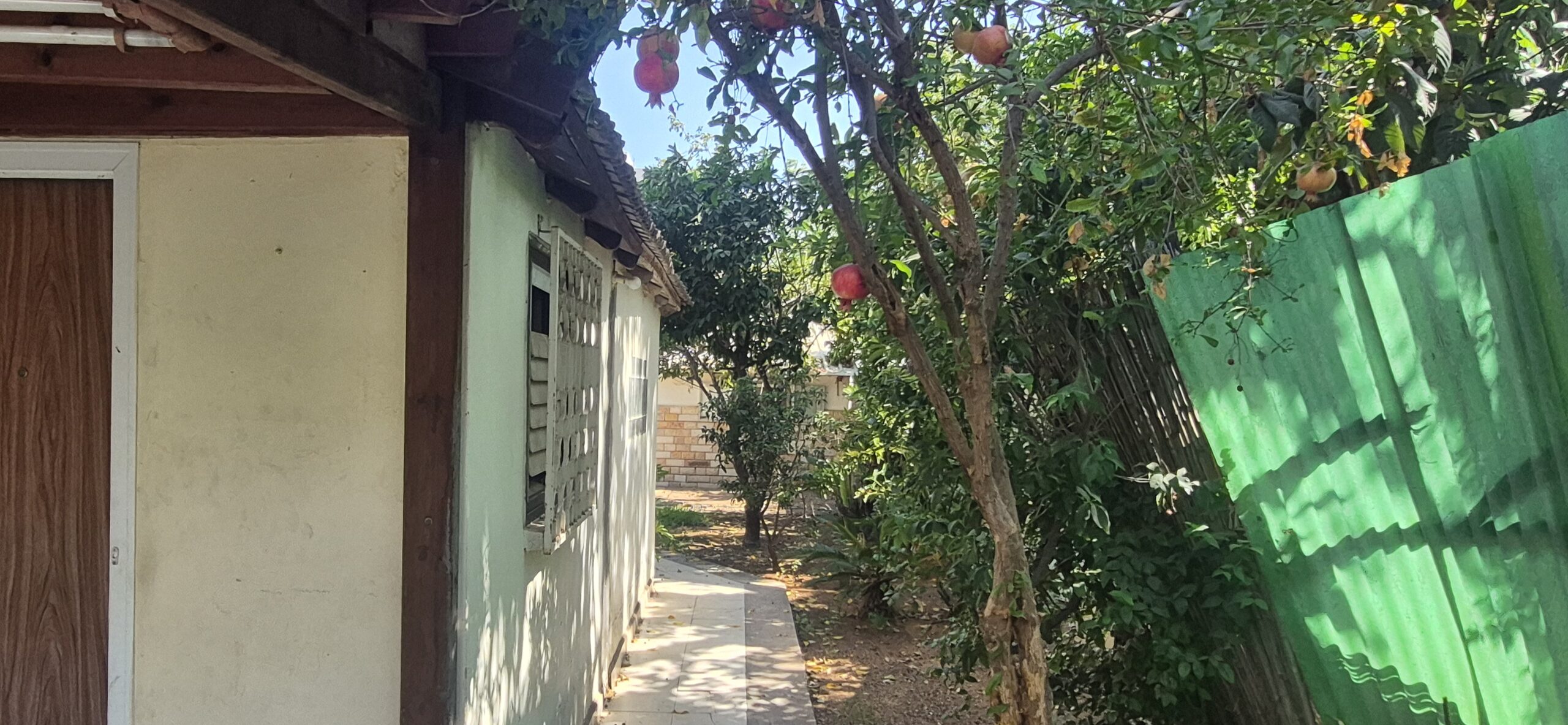 יצחקי-יצחקי-3