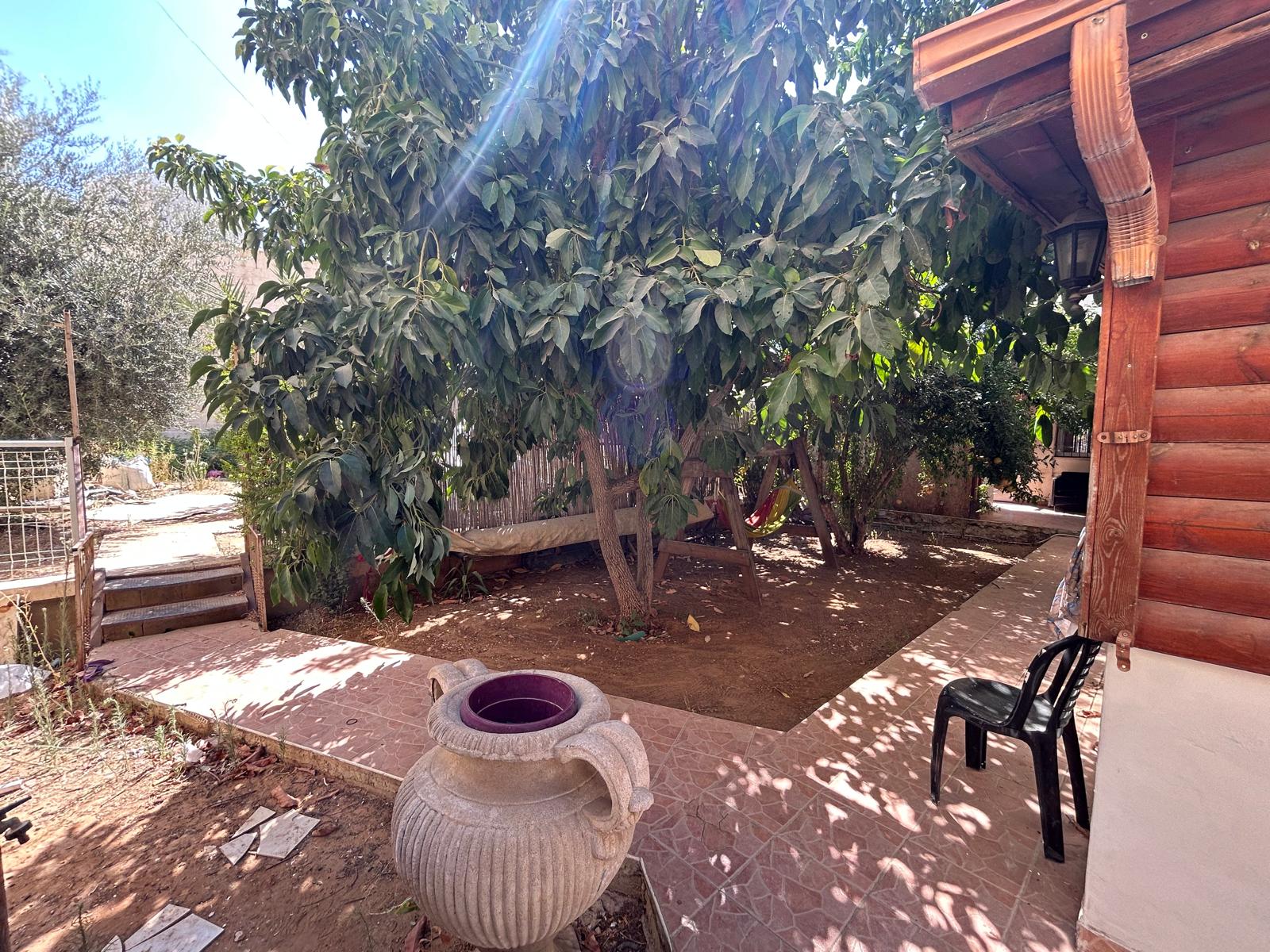 חצר-1-פינה-אחרת-