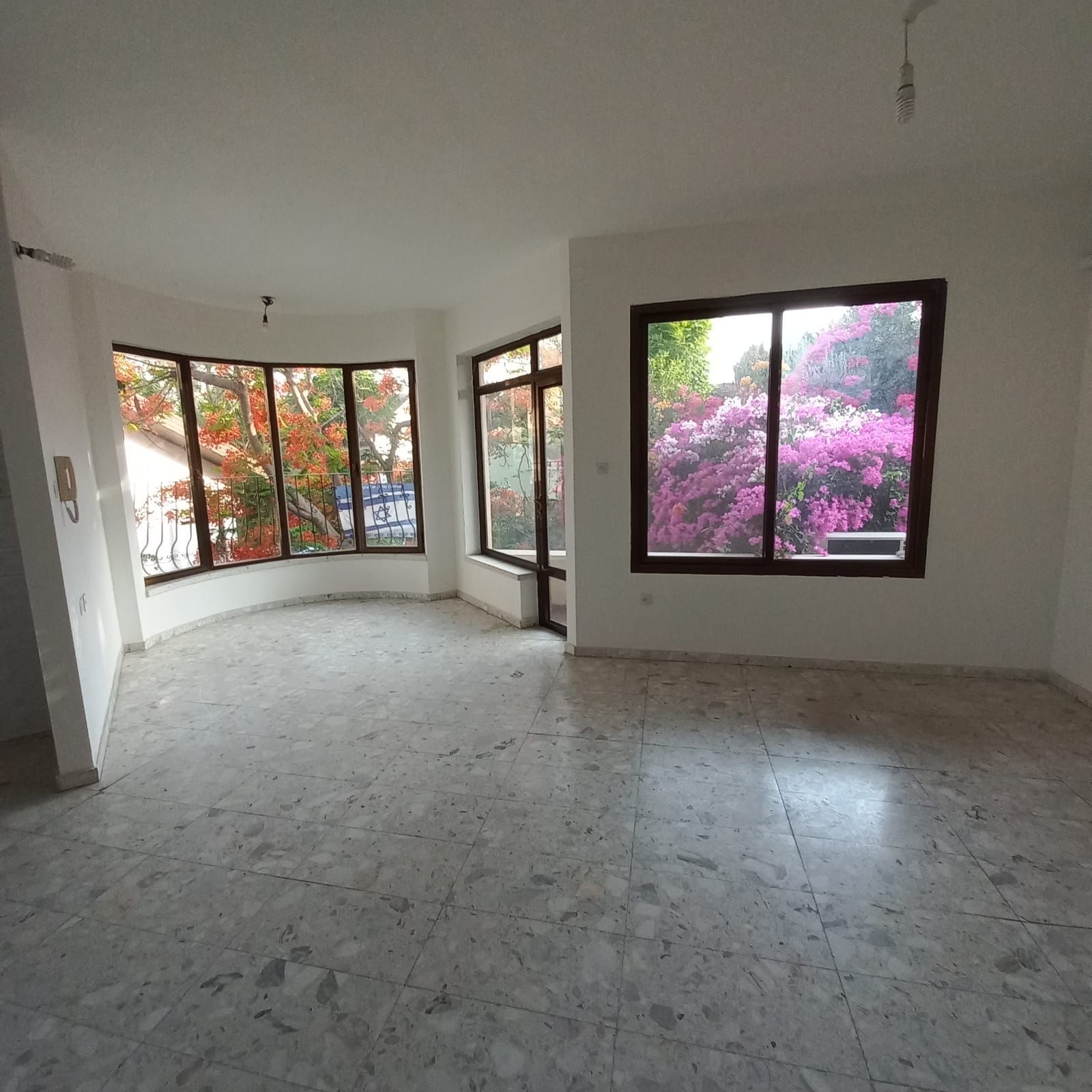 WhatsApp-Image-2025-08-10-at-14.50.42-1