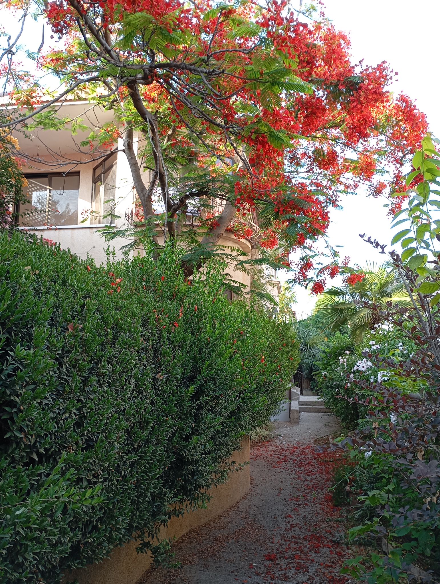 WhatsApp-Image-2025-08-10-at-14.50.43-2