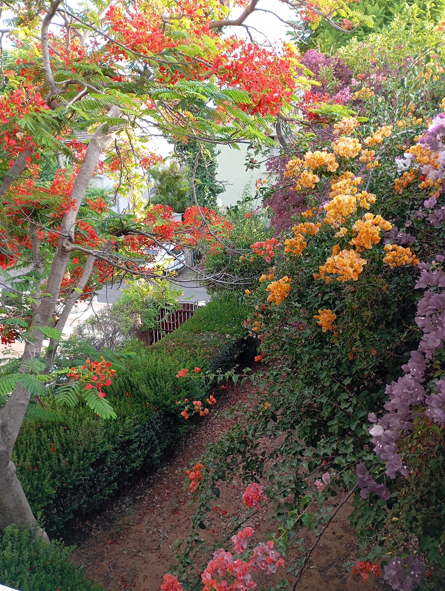 WhatsApp-Image-2025-08-10-at-14.50.43