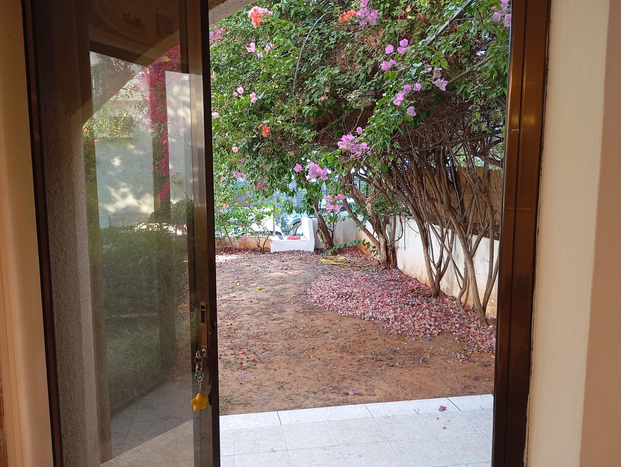 WhatsApp-Image-2025-08-10-at-14.50.44-1