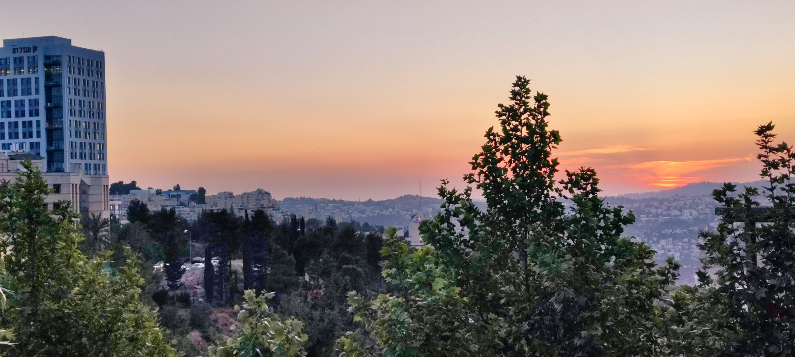 IMG_20250508_192433-1